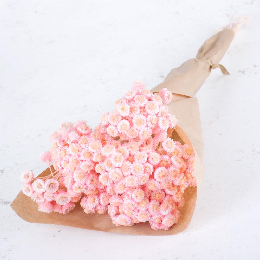 Dried Fillers & Foliage | Helichrysum Immortelle, Dyed Pink, 40g Dried Dried Fillers & Foliage