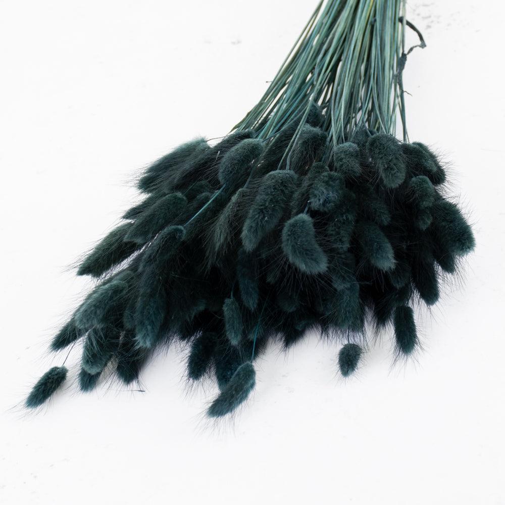 Dried Fillers & Foliage | Lagurus Ovatus, (Bunny Tails), Dried, Black/Green, 100g Dried Dried Fillers & Foliage