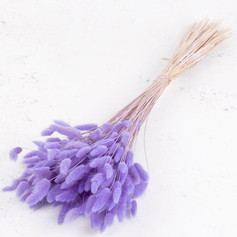 Dried Fillers & Foliage | Lagurus Ovatus, (Bunny Tails), Dried, Lilac, 100g Dried Dried Fillers & Foliage