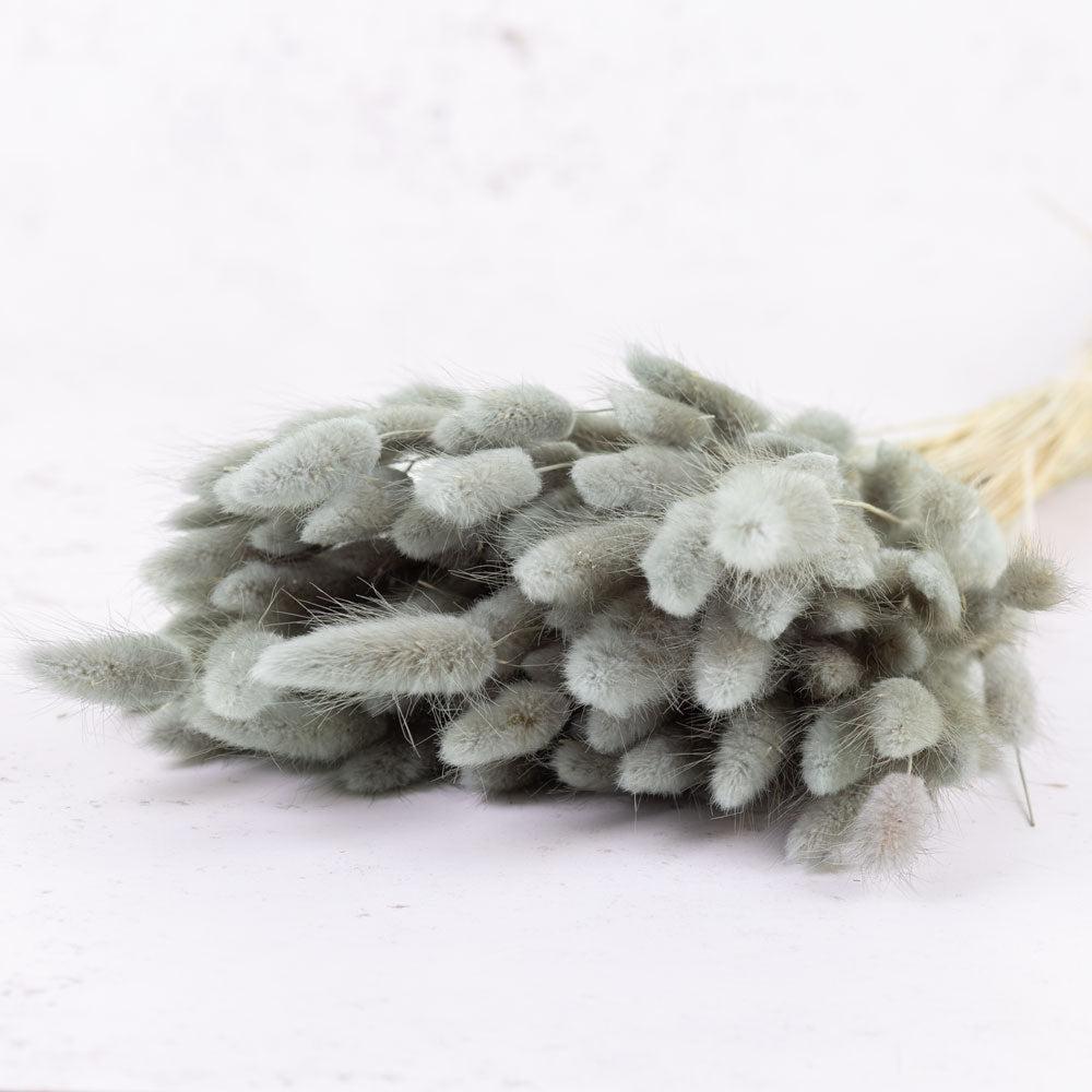 Dried Fillers & Foliage | Lagurus Ovatus, (Bunny Tails), Dried, Petrol Grey, 100g Dried Dried Fillers & Foliage