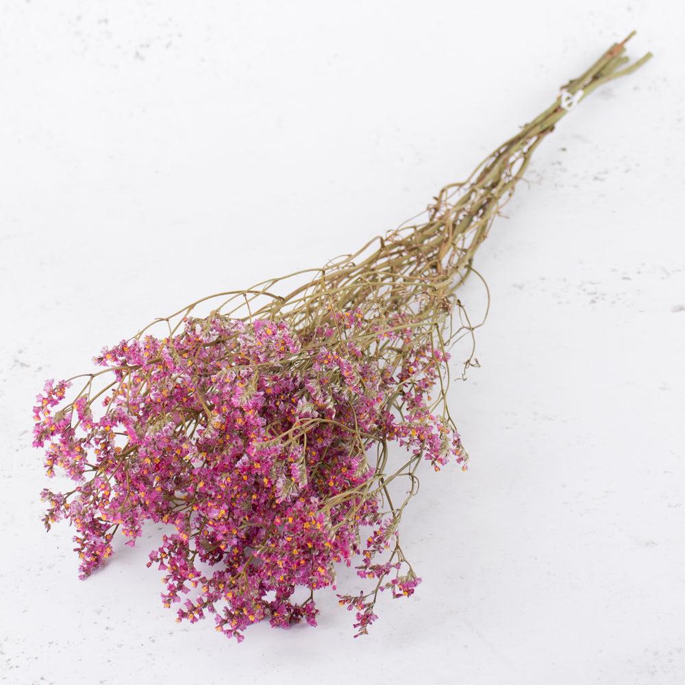 Dried Fillers & Foliage | Limonium, Dried, Natural Cerise, 60cm Dried Dried Fillers & Foliage