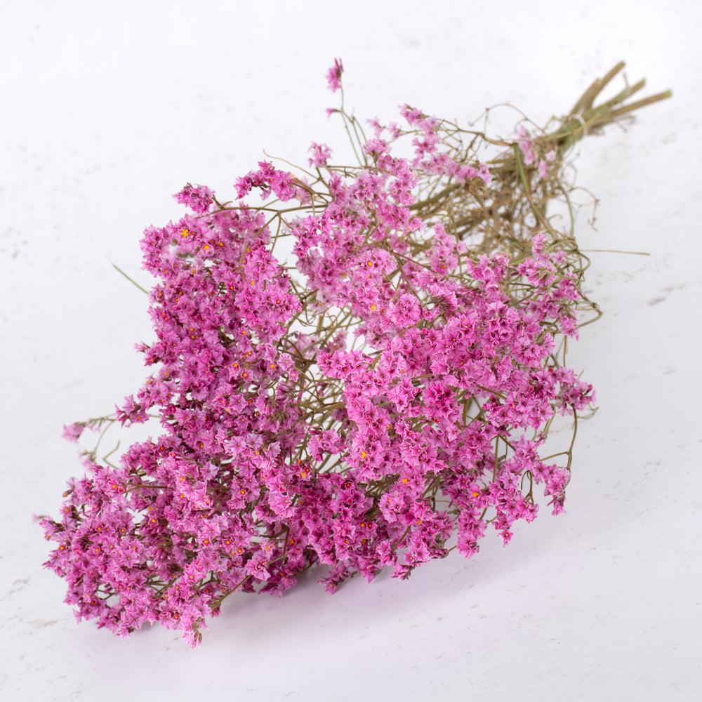 Dried Fillers & Foliage | Limonium, Dried, Natural Pink, 60cm Dried Dried Fillers & Foliage