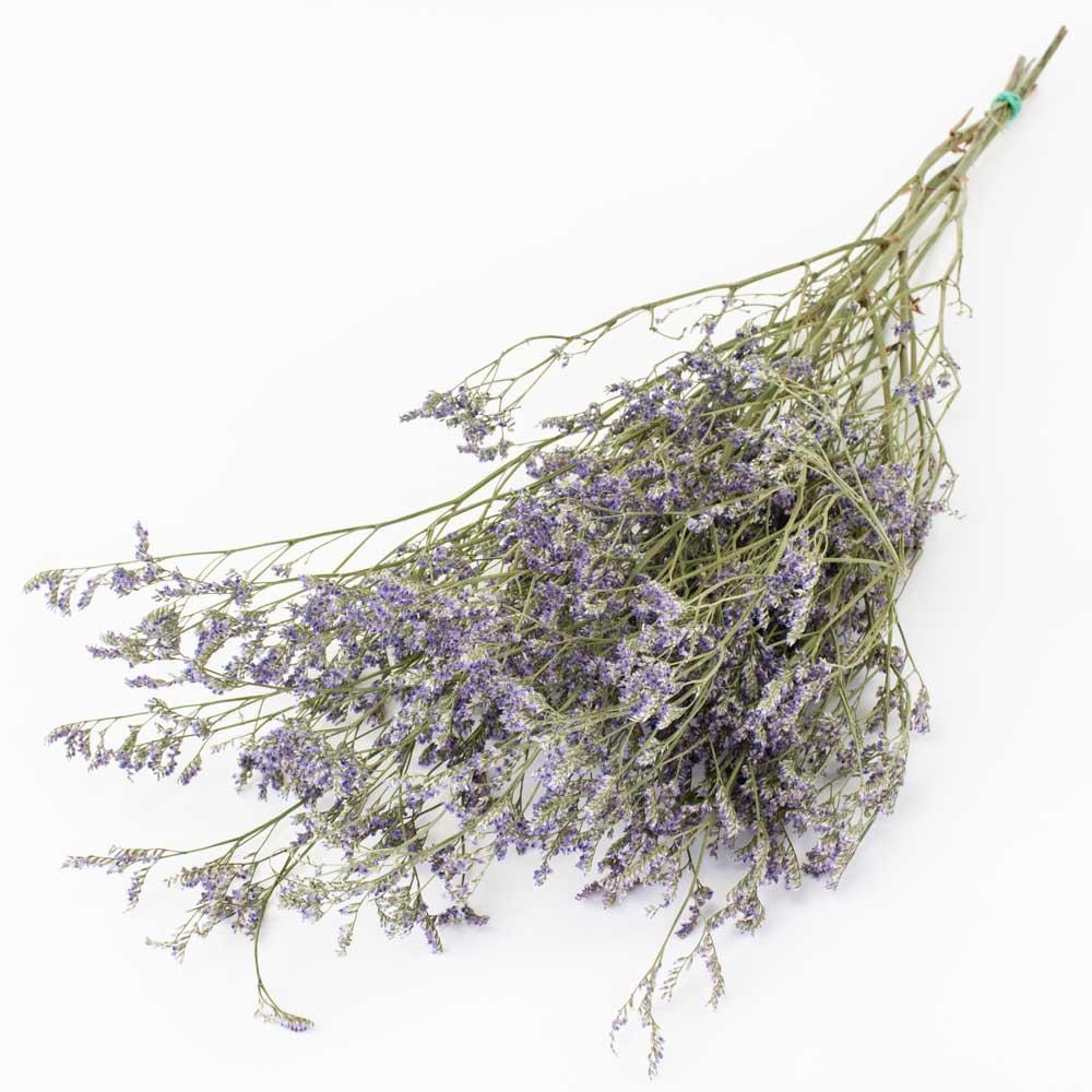 Dried Fillers & Foliage | Limonium, Dried, Natural Purple Dried Dried Fillers & Foliage