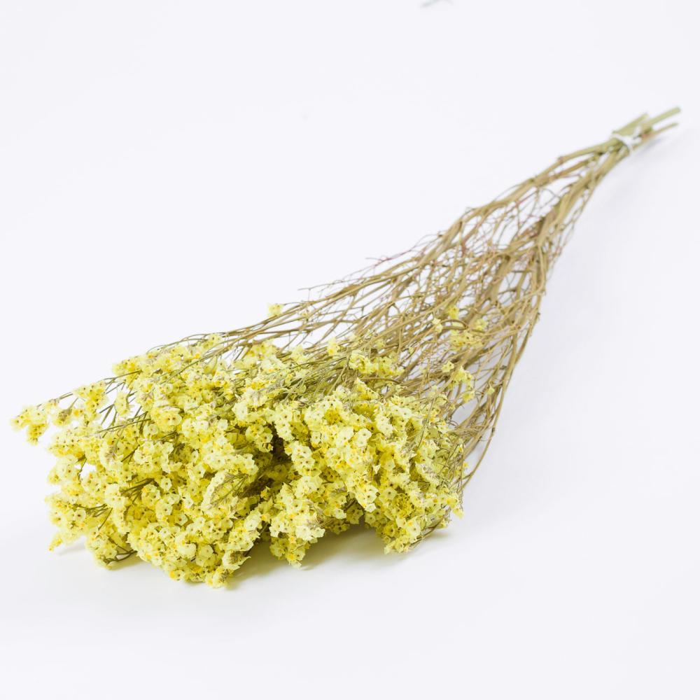 Dried Fillers & Foliage | Limonium, Dried, Natural Yellow, 60cm Dried Dried Fillers & Foliage