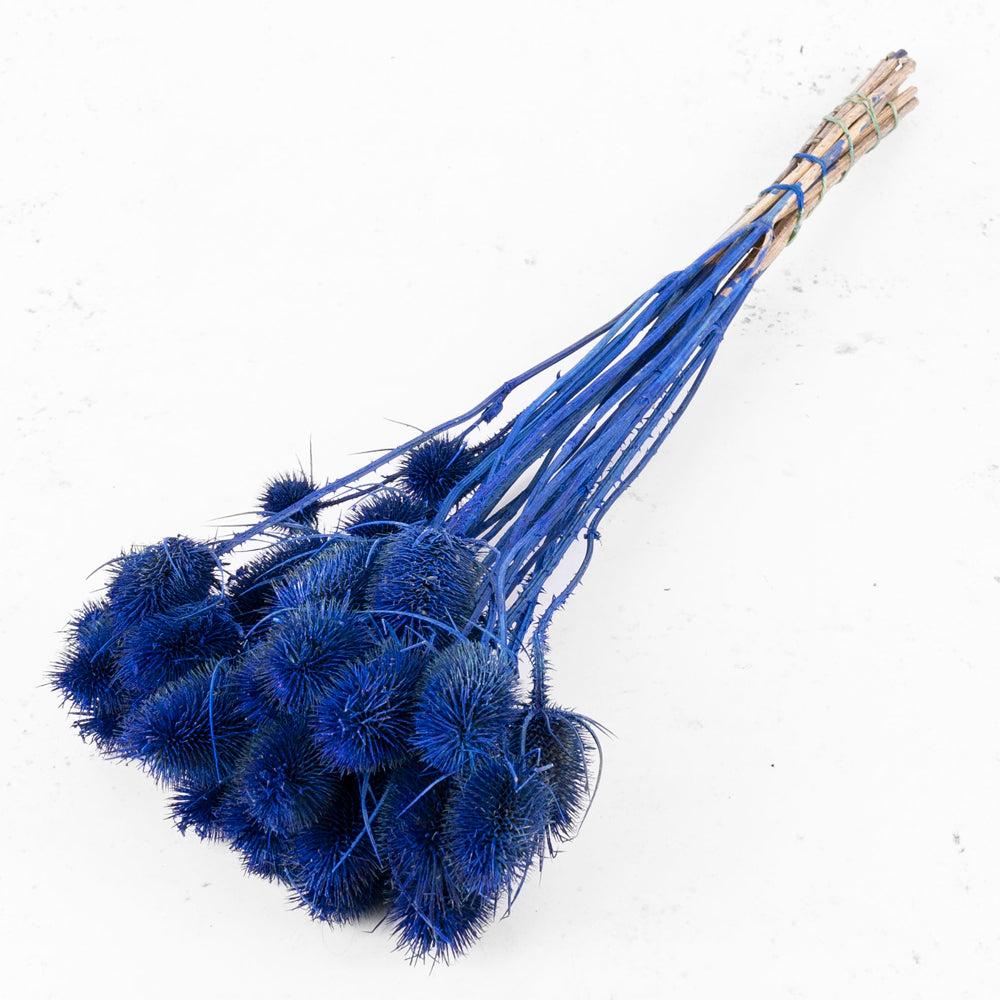 Dried Fillers & Foliage | Marshy Thistle, Dried, Dark Blue, Bunch x 10 Dried Dried Fillers & Foliage