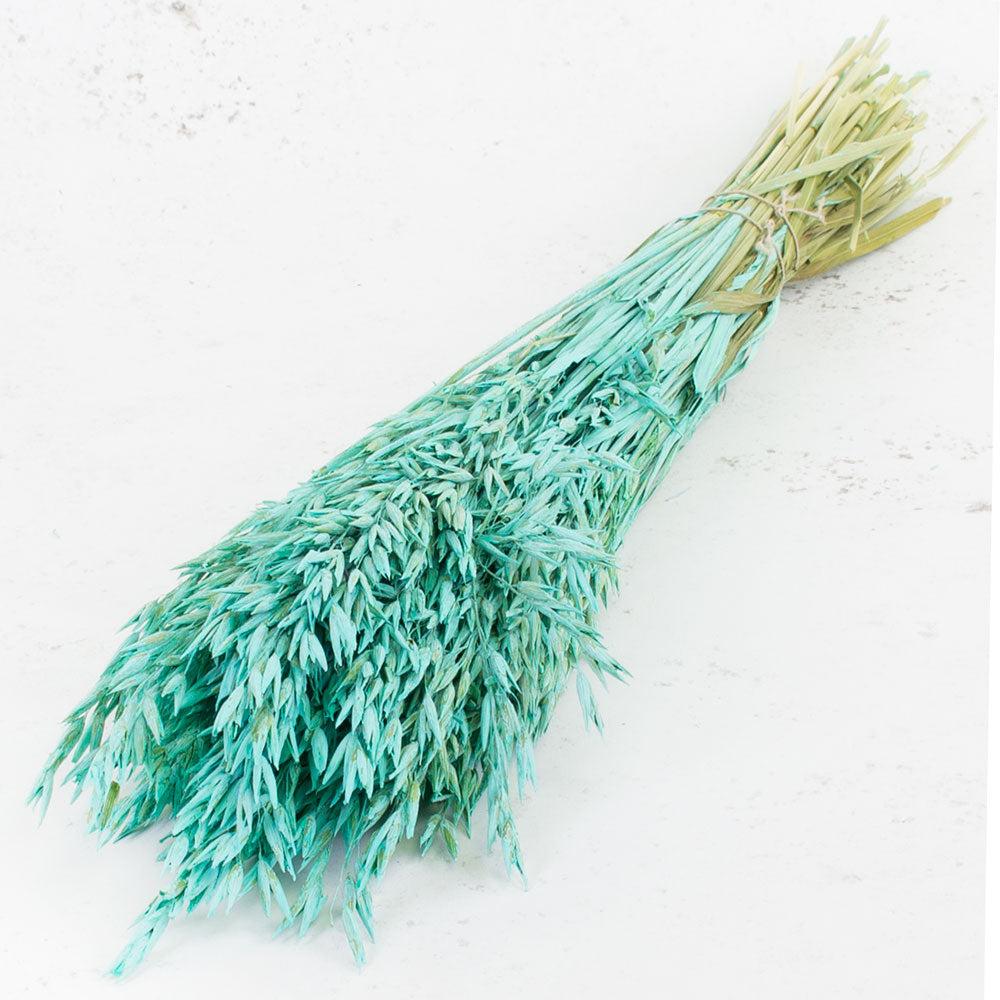 Dried Fillers & Foliage | Oats, (Avena), Dried, Blue Aqua, Bunch Dried Dried Fillers & Foliage