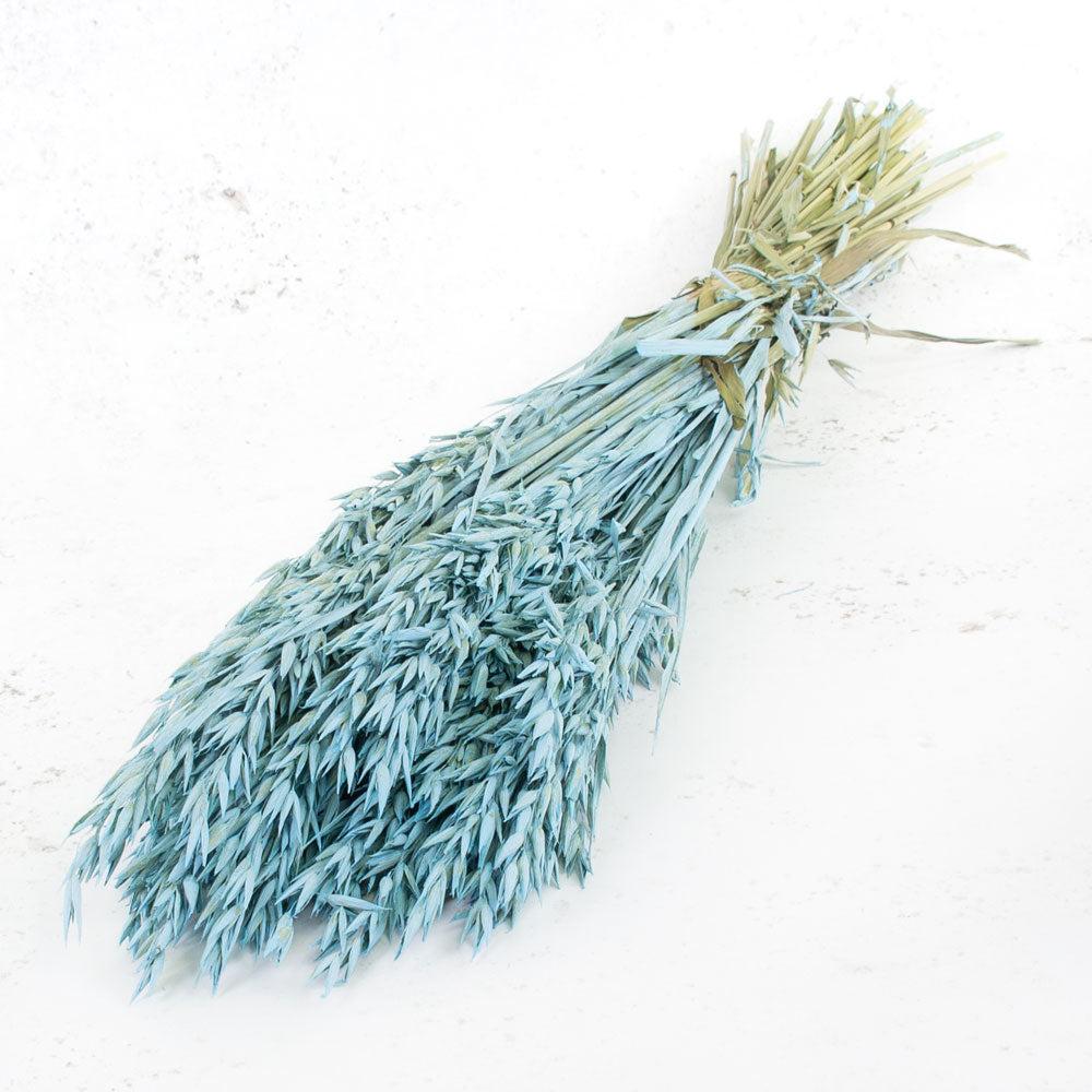 Dried Fillers & Foliage | Oats, (Avena), Dried, Blue Misty, Bunch Dried Dried Fillers & Foliage