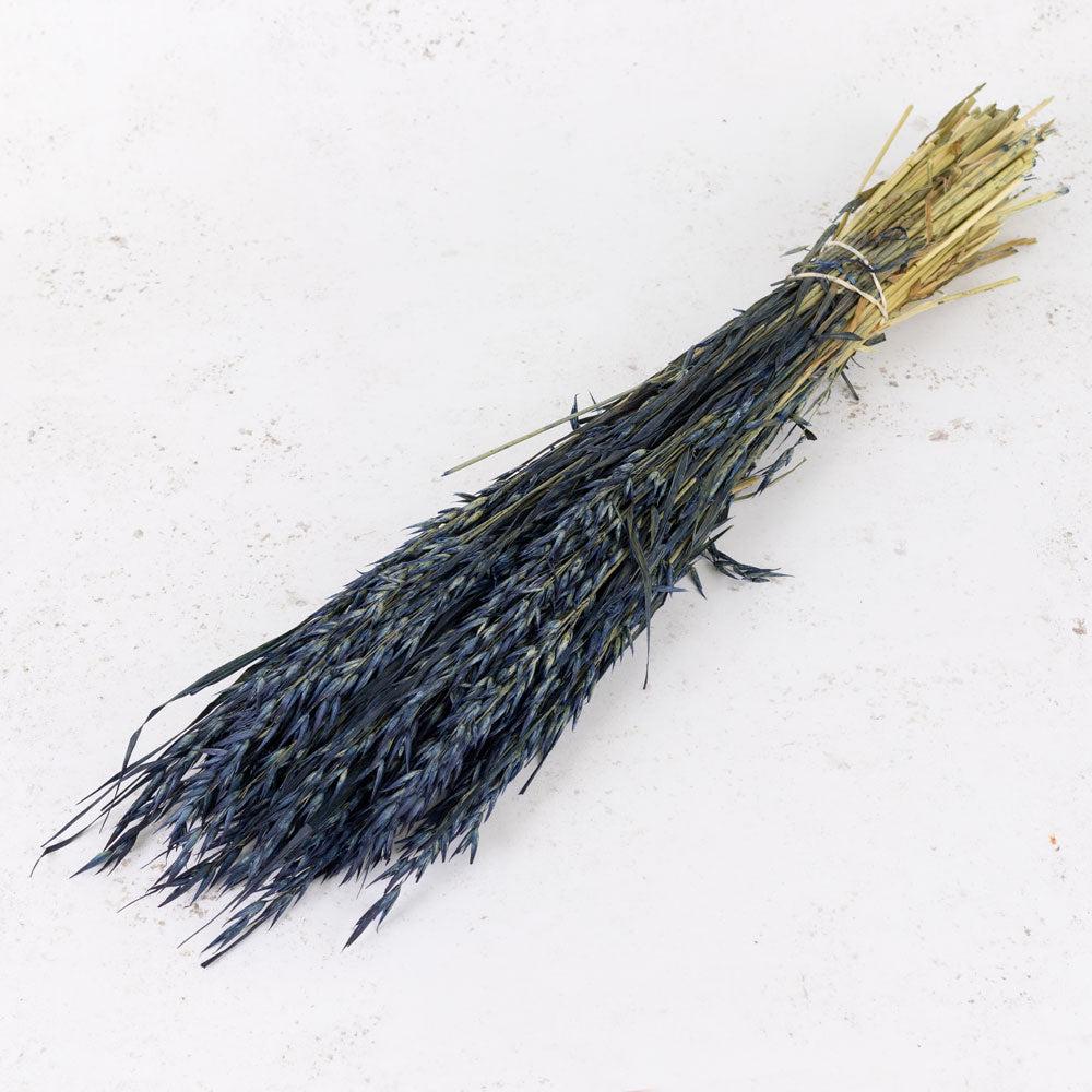 Dried Fillers & Foliage | Oats, (Avena), Dried, Dark Blue, Bunch Dried Dried Fillers & Foliage