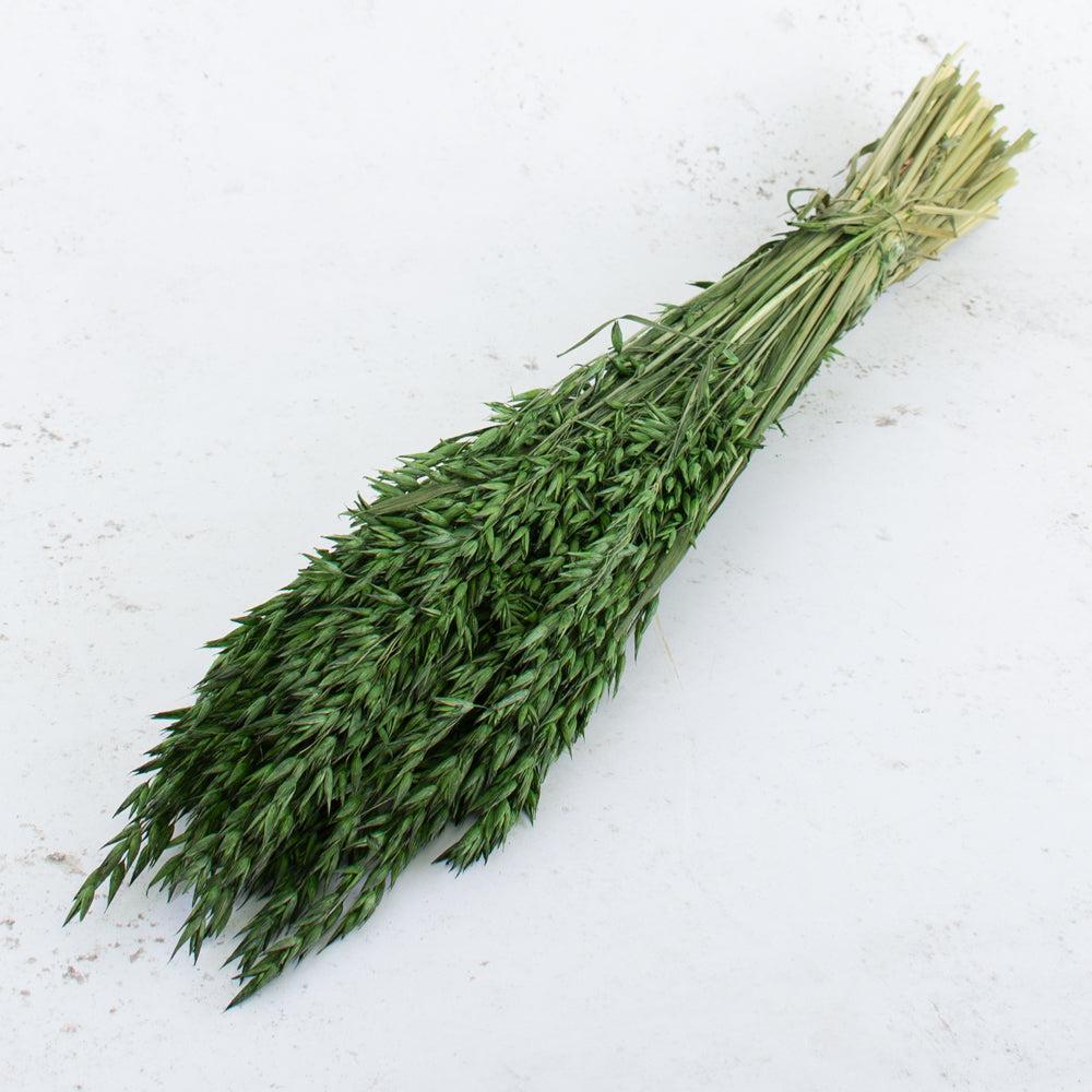 Dried Fillers & Foliage | Oats, (Avena), Dried, Moss Green Dried Dried Fillers & Foliage