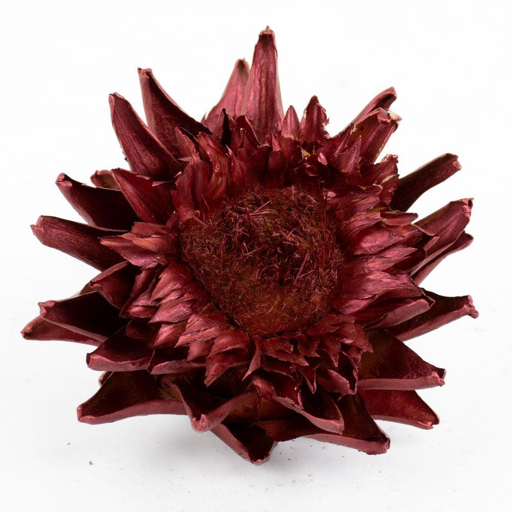 Dried Flowers | Cynara, Dried, Metallic Red, 12-20cm, Per Stem Dried Dried Flowers