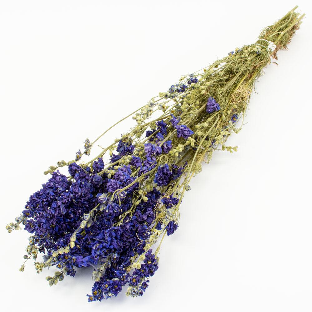 Dried Flowers | Delphinium, Dried, Natural Blue Dried Dried Flowers