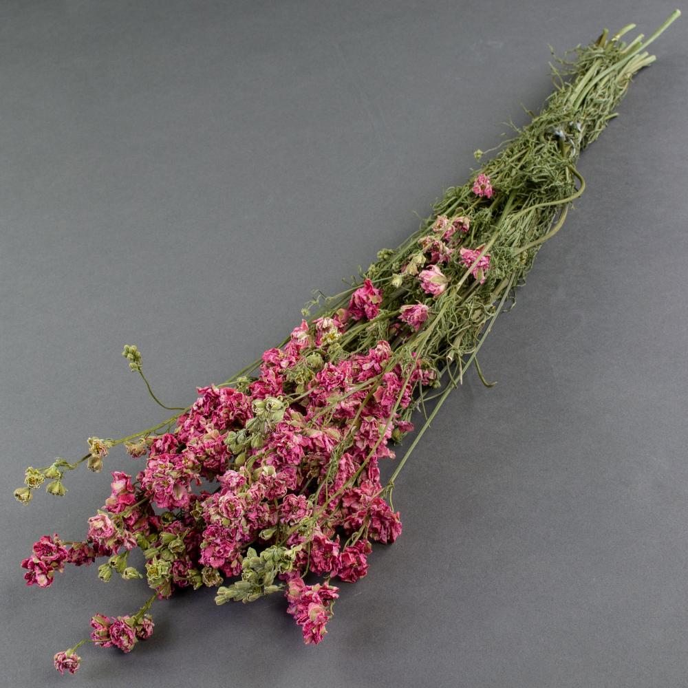 Dried Flowers | Delphinium, Dried, Natural Pink Dried Dried Flowers