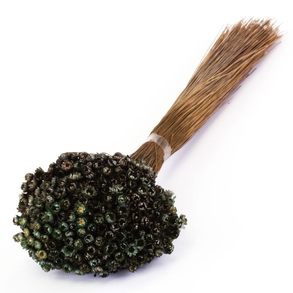 Dried Flowers | Glixia Flower, Dried, Black, 100g Dried Dried Flowers