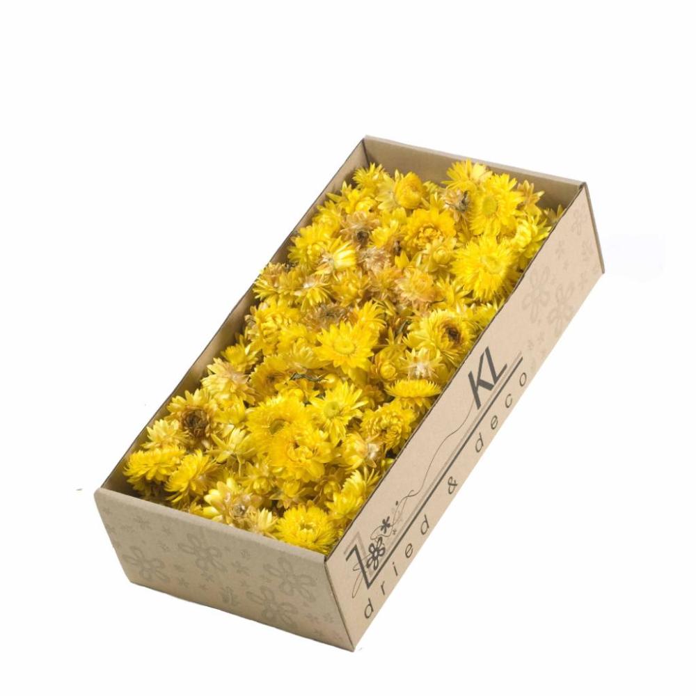 Dried Flowers | Helichrysum Heads, Dried, Natural Yellow, per 100g Dried Dried Flowers