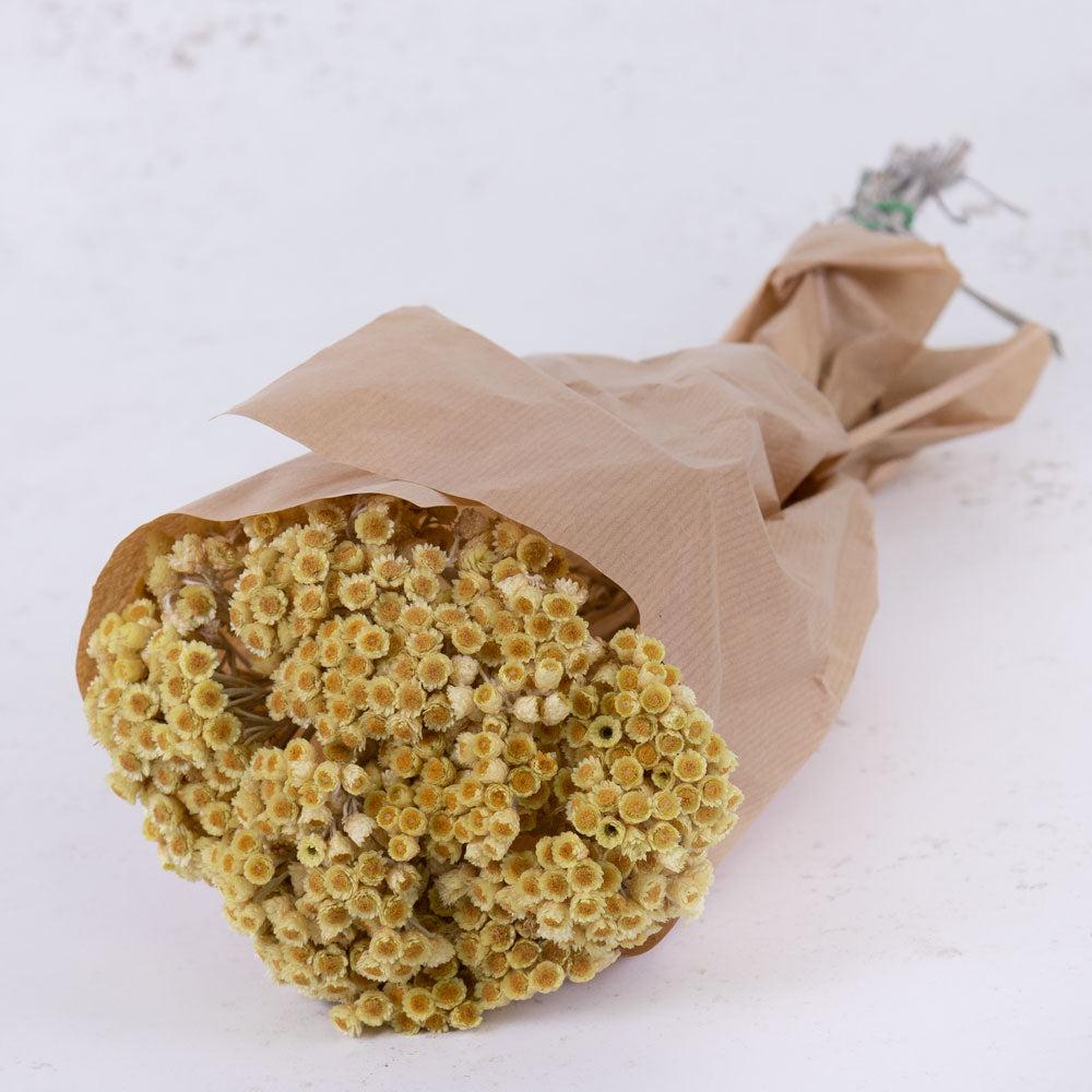 Dried Flowers | Helichrysum Immortelle, Natural Honey, 50g Dried Dried Flowers