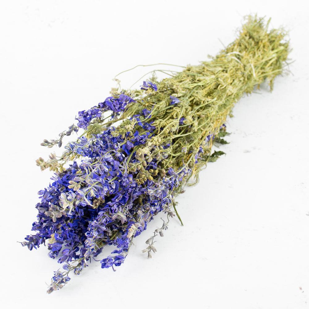 Dried Flowers | Larkspur, Dried, Natural Blue, Bunch Dried Dried Flowers