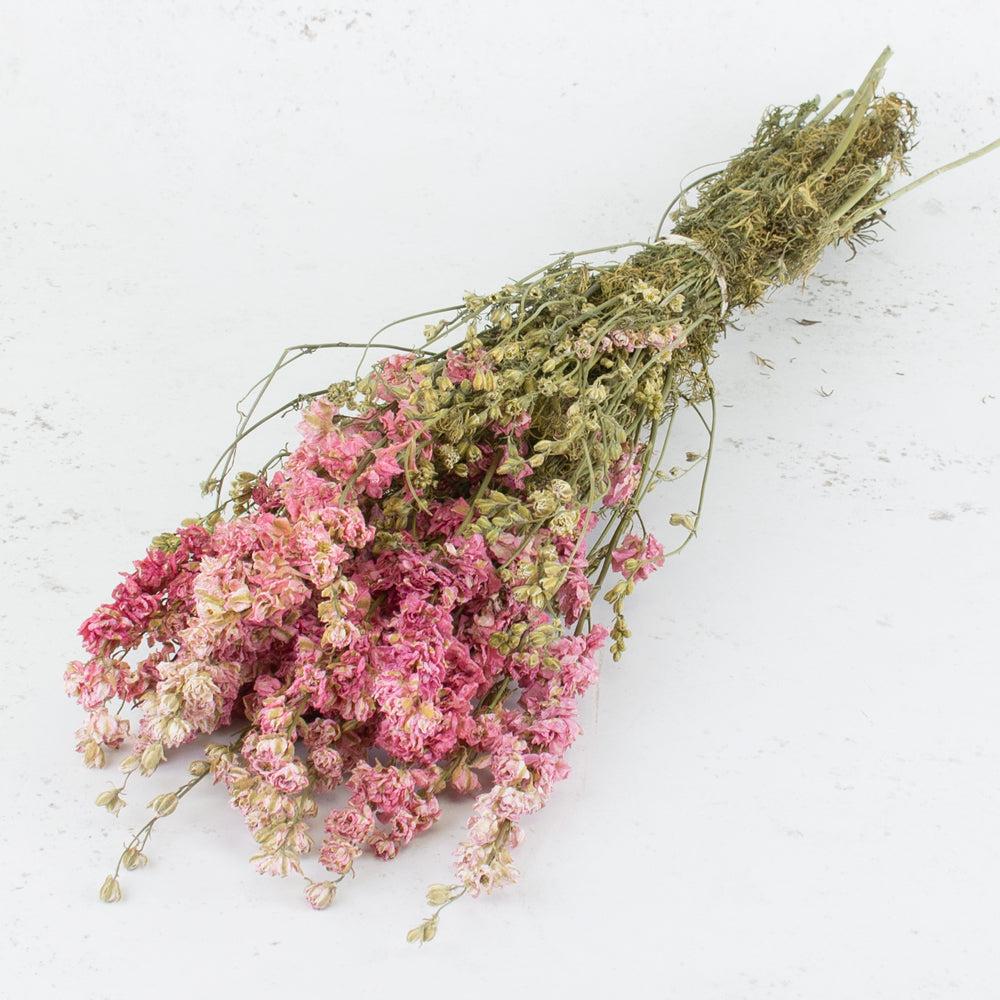 Dried Flowers | Larkspur, Dried, Natural Pink, Bunch Dried Dried Flowers