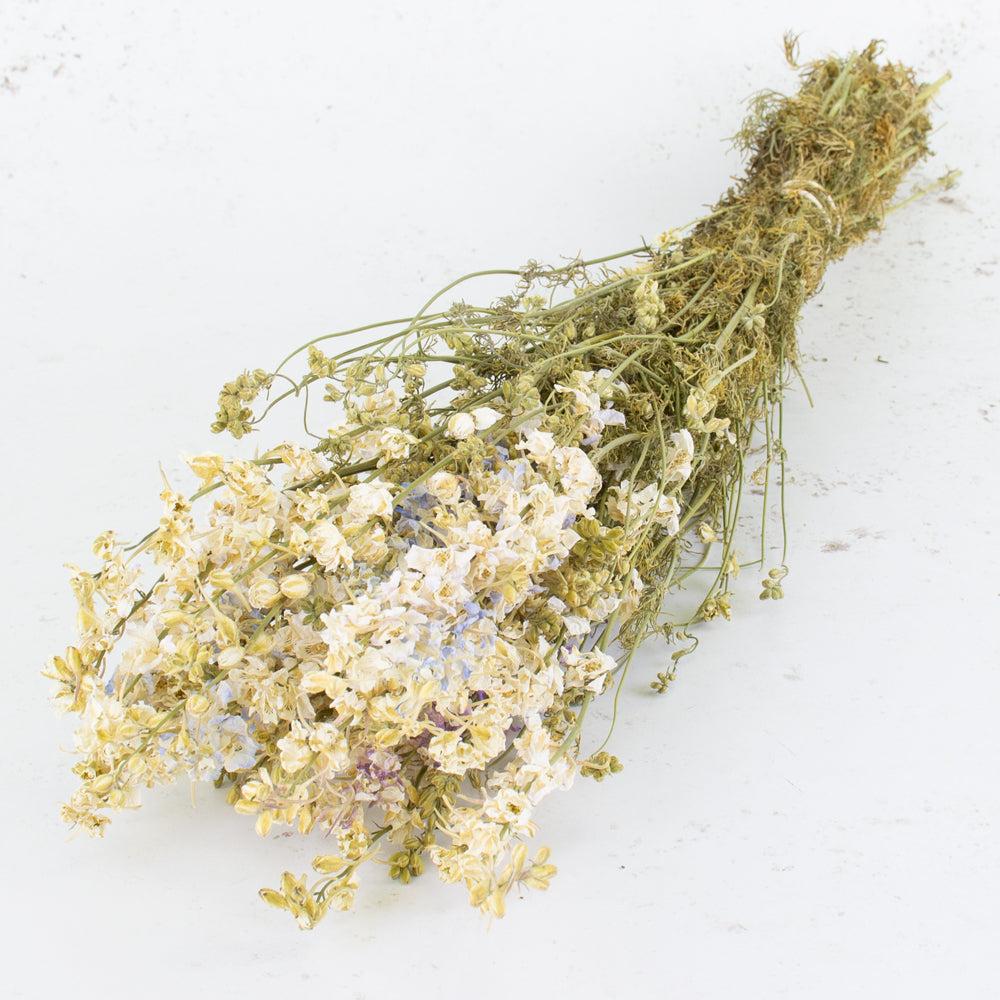 Dried Flowers | Larkspur, Dried, Natural White, Bunch Dried Dried Flowers