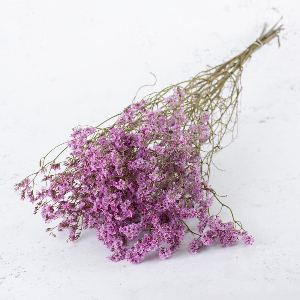 Dried Flowers | Limonium, Dried, Natural Light Pink, 60cm Dried Dried Fillers & Foliage