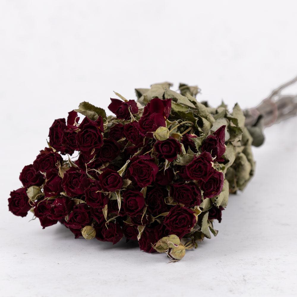 Dried Flowers | Roses, Spray, Dried, Natural Red, x 10 Stems Dried Dried Flowers