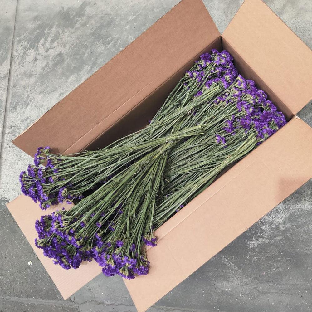 Dried Flowers | Statice Sinuata, Dried, Natural Blue, Full Box 20 Bunches Dried Dried Flowers