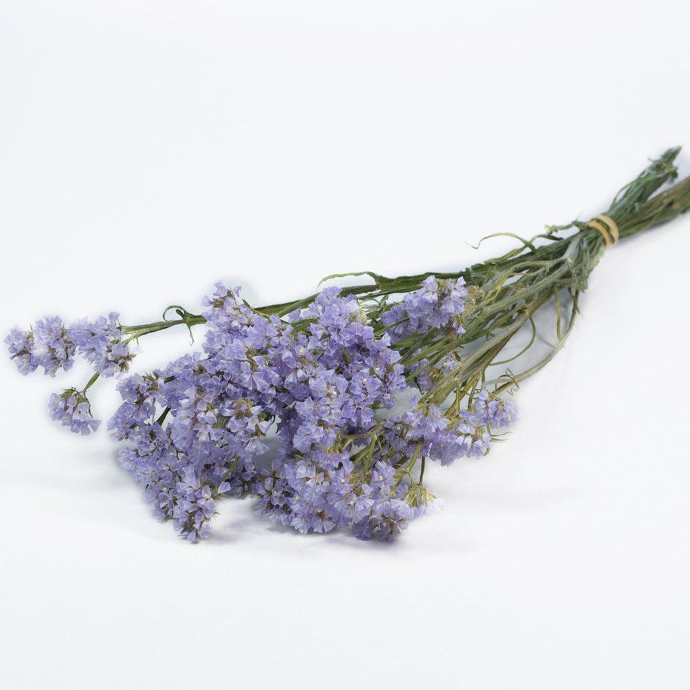 Dried Flowers | Statice sinuata, Dried, Natural Lilac Dried Dried Flowers