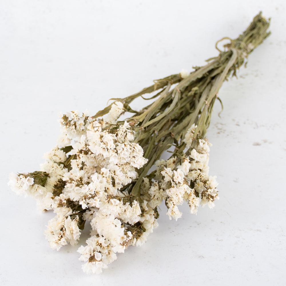 Dried Flowers | Statice Sinuata, Dried, Natural White Dried Dried Flowers