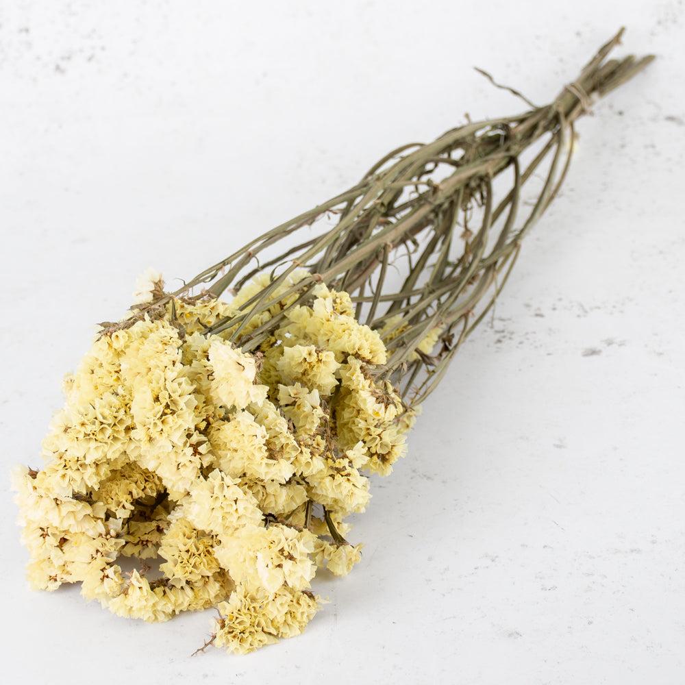 Dried Flowers | Statice sinuata, Dried, Natural Yellow Dried Dried Flowers