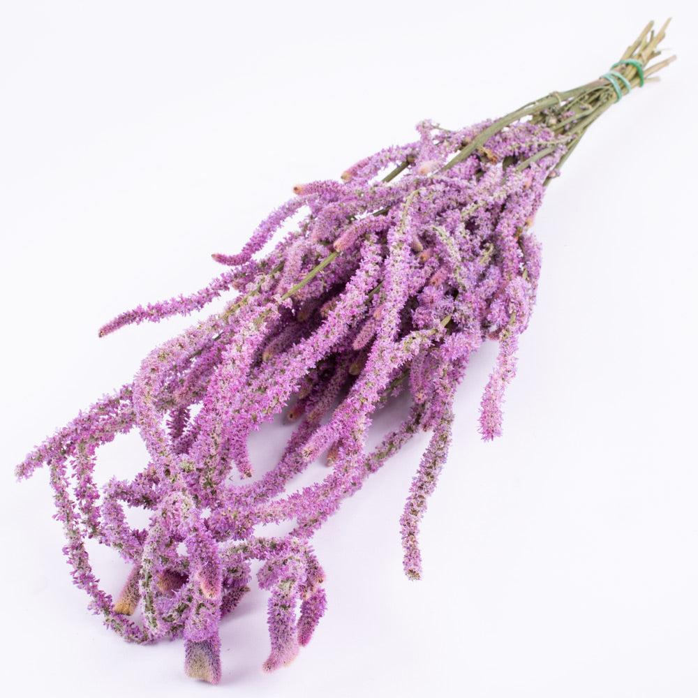 Dried Flowers | Statice Suworowii, Dried, Natural Pink, 50g Dried Dried Flowers