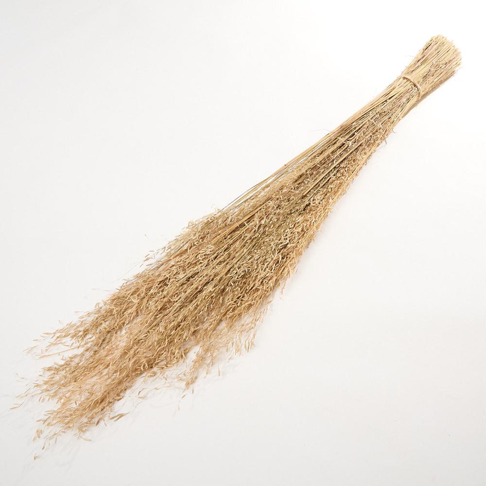 Dried Grasses | Briza, Segromigno, Dried, Natural, 100g Bunch Dried Dried Fillers & Foliage