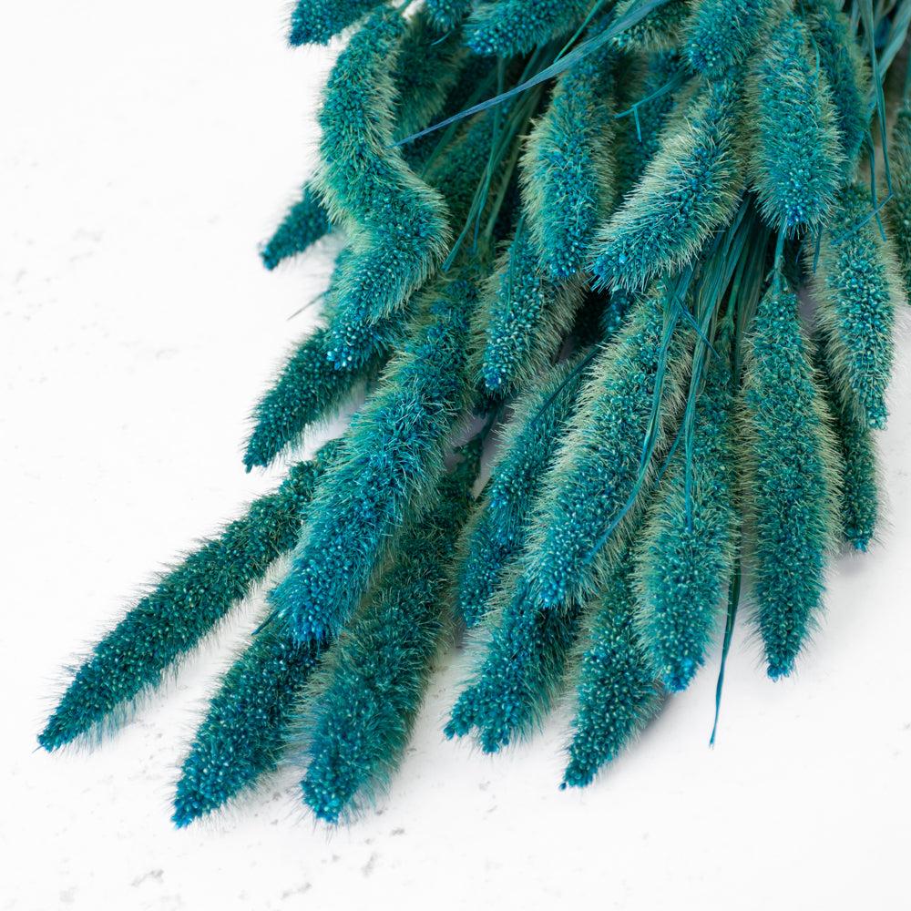 Dried Grasses | Setaria Grass, Petrol Blue, 65cm Bunch Dried Dried Grasses