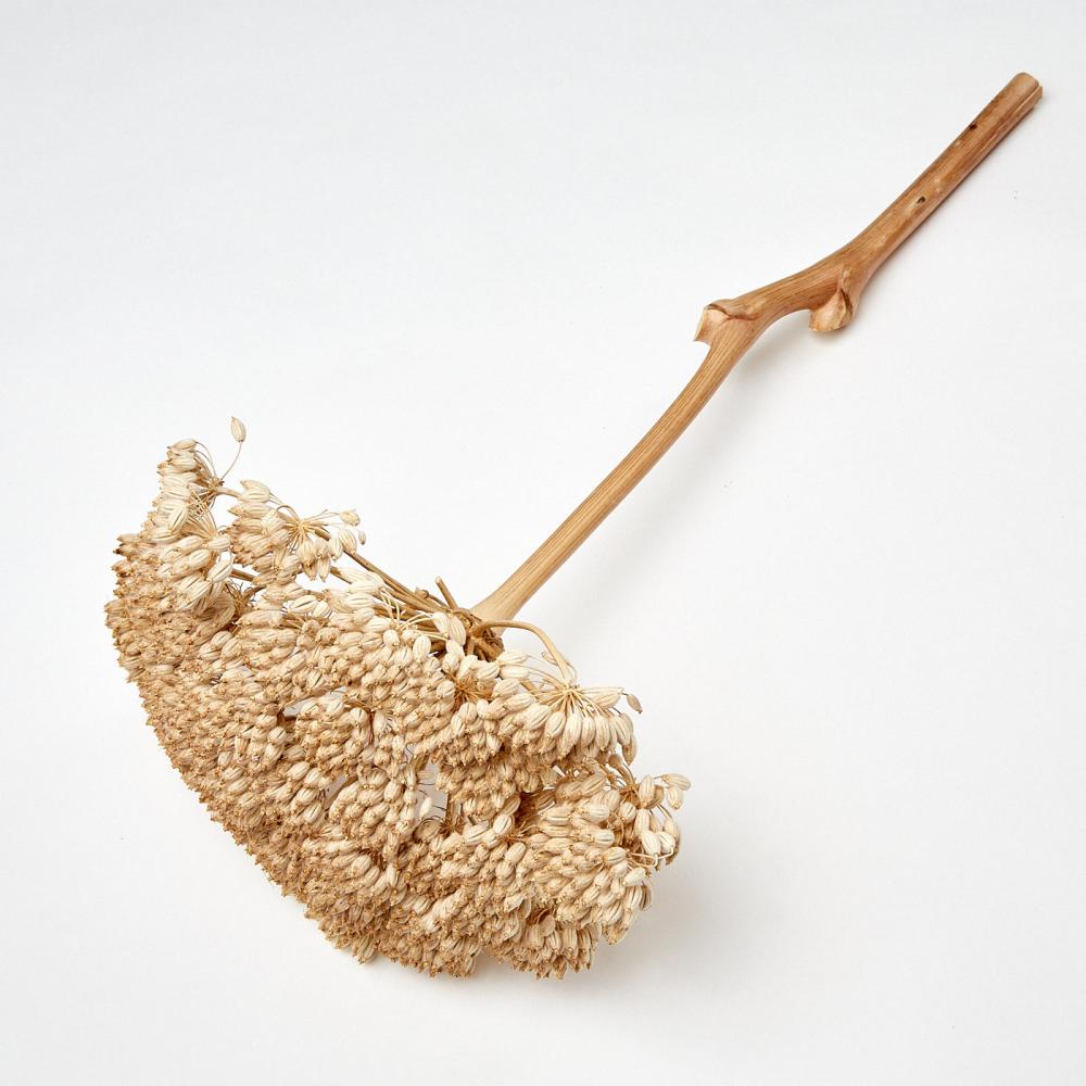 Dried Natural Products | Tfifra Seed Head, Dried, on Natural Stem, 50cm Dried Dried Natural Products