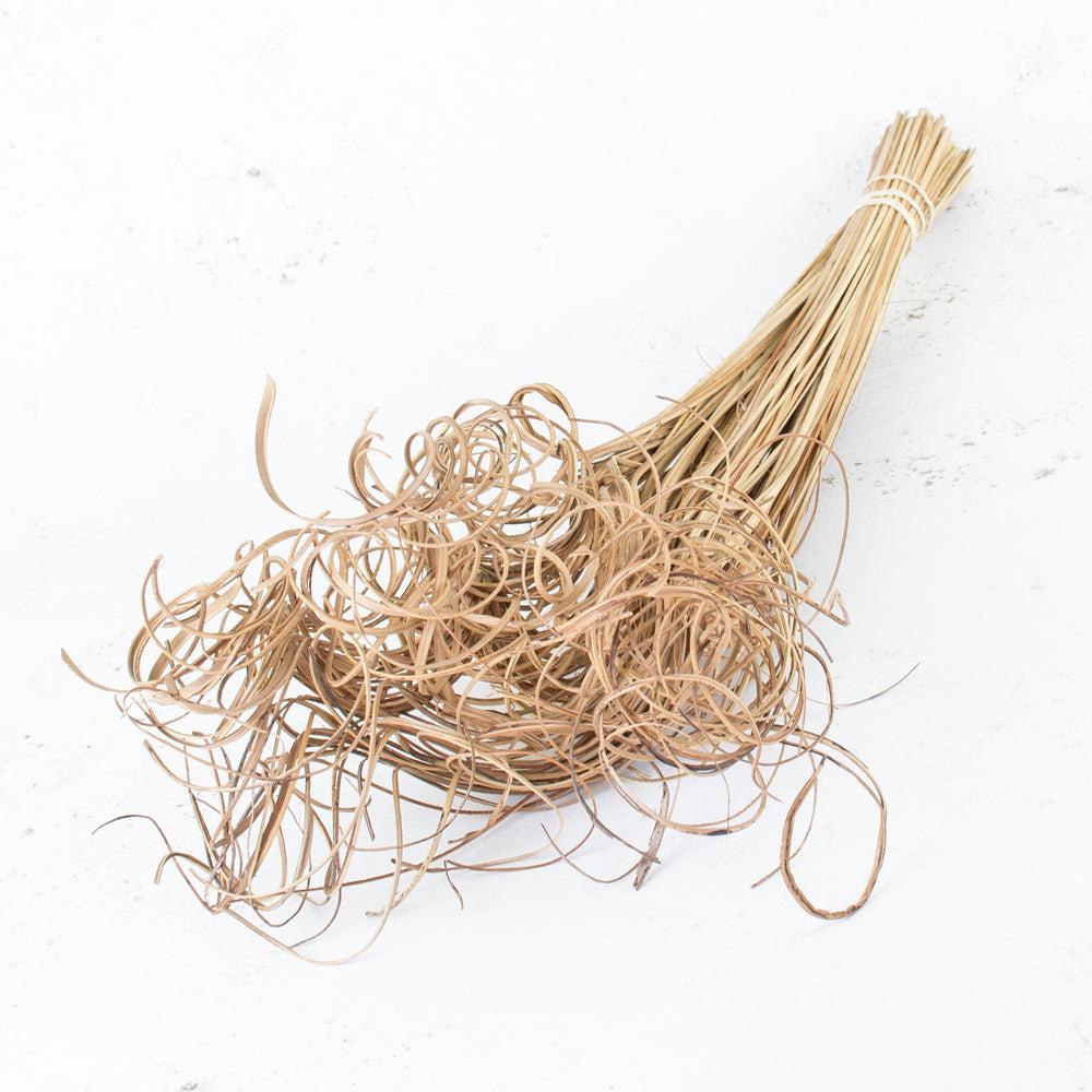 Dried Natural Products | Ting Ting, Curly, Dried, Natural, 100 Stem Bunch Dried Dried Natural Products