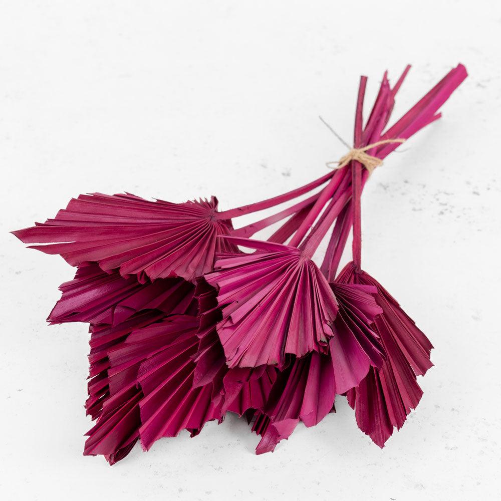 Dried Palm Spears | Palm Spear, Cerise Pink, Bunch x 10 Stems Dried Dried Natural Products