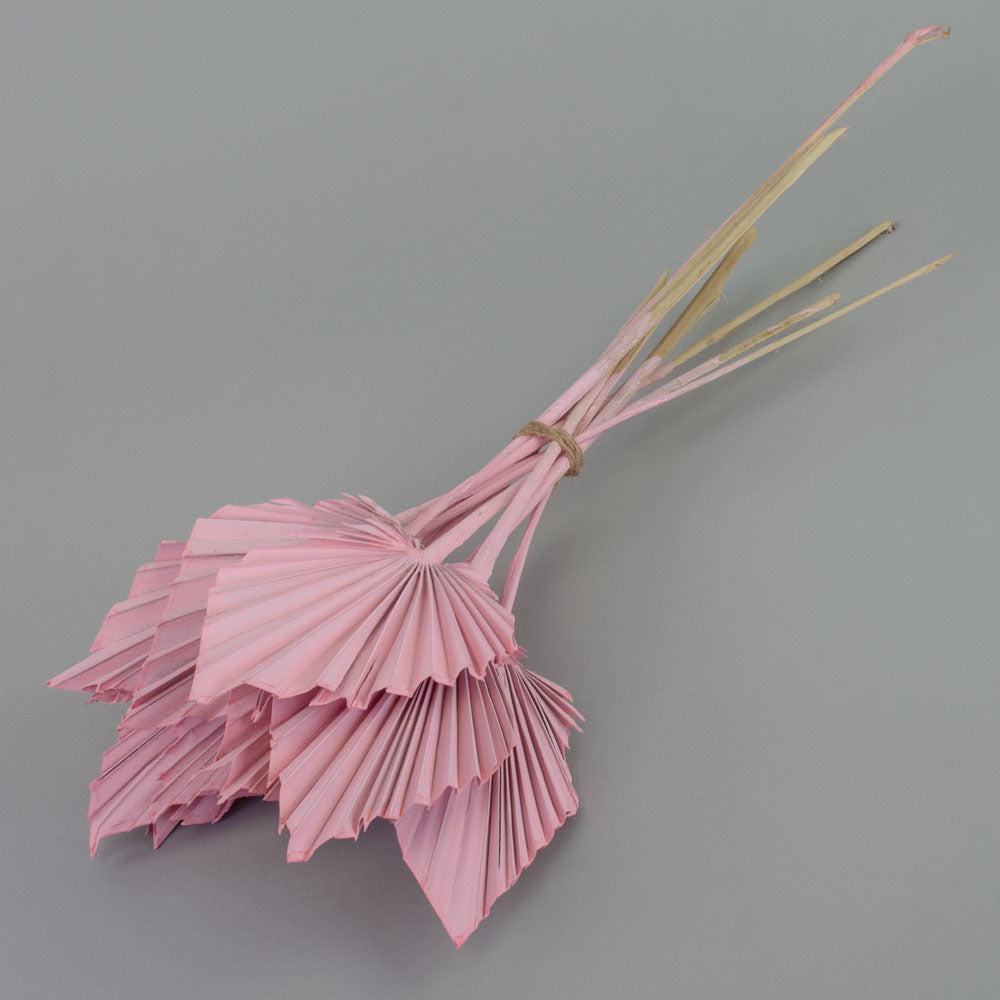 Dried Palm Spears | Palm Spear, Dried, Pink Misty, Bunch x 10 Stems Dried Dried Palm Spears