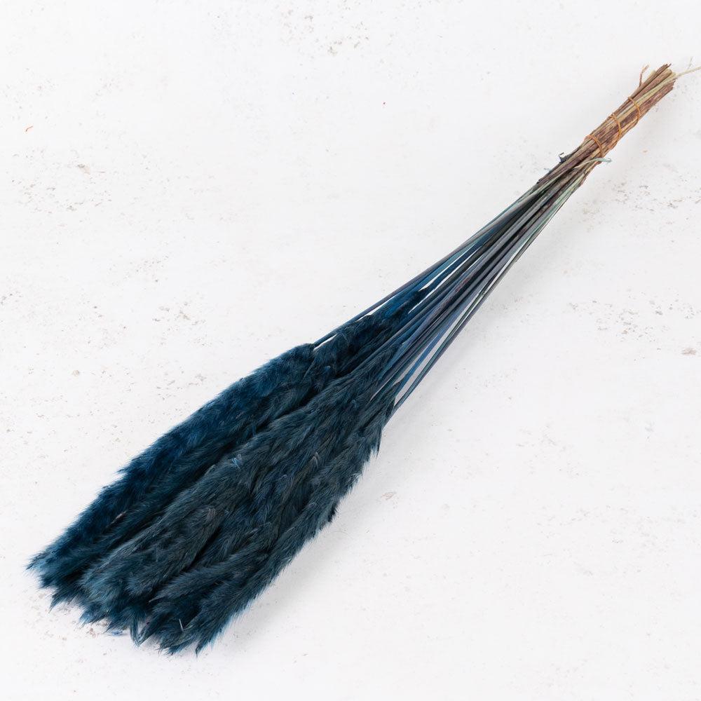 Dried Pampas Grass | Fluffy Pampas, Dried, Dark Blue, 35g Dried Dried Fillers & Foliage