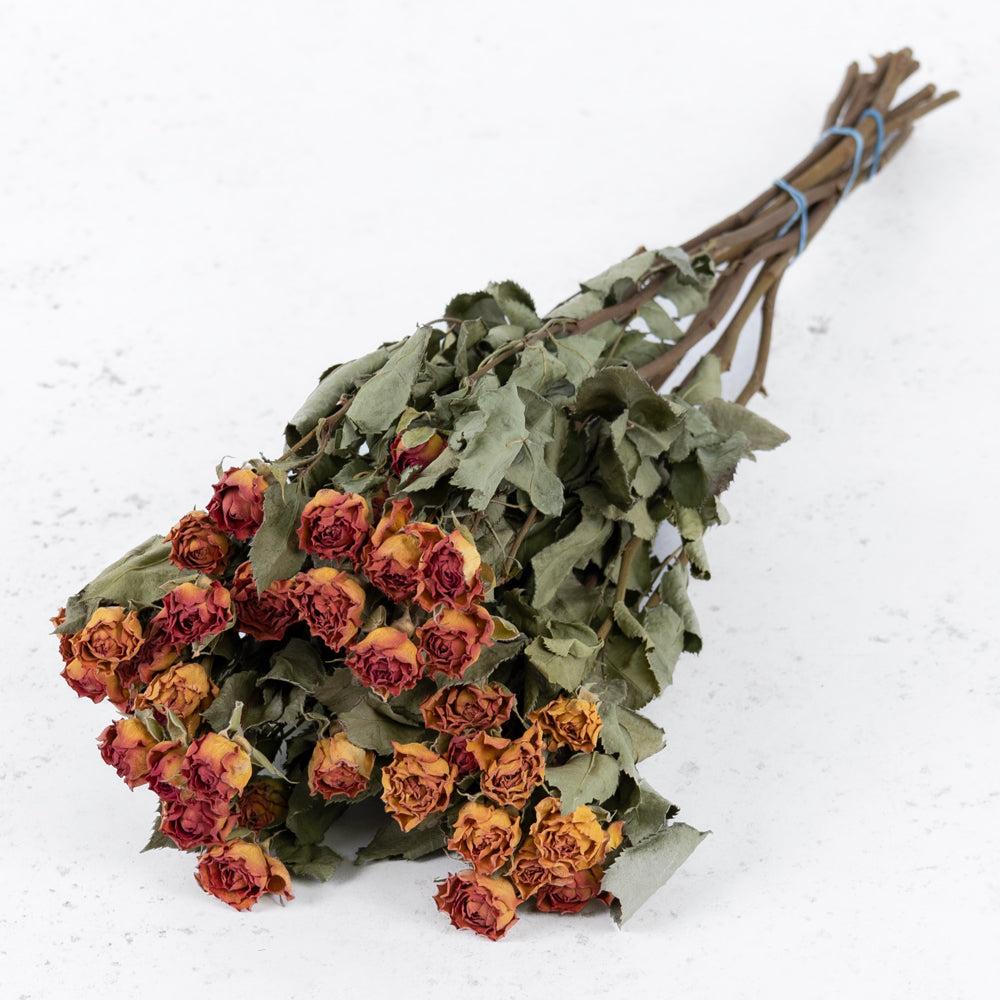 Dried Spray Roses | Roses, Spray, Dried, Natural Orange, x 10 Stems Dried Dried Flowers