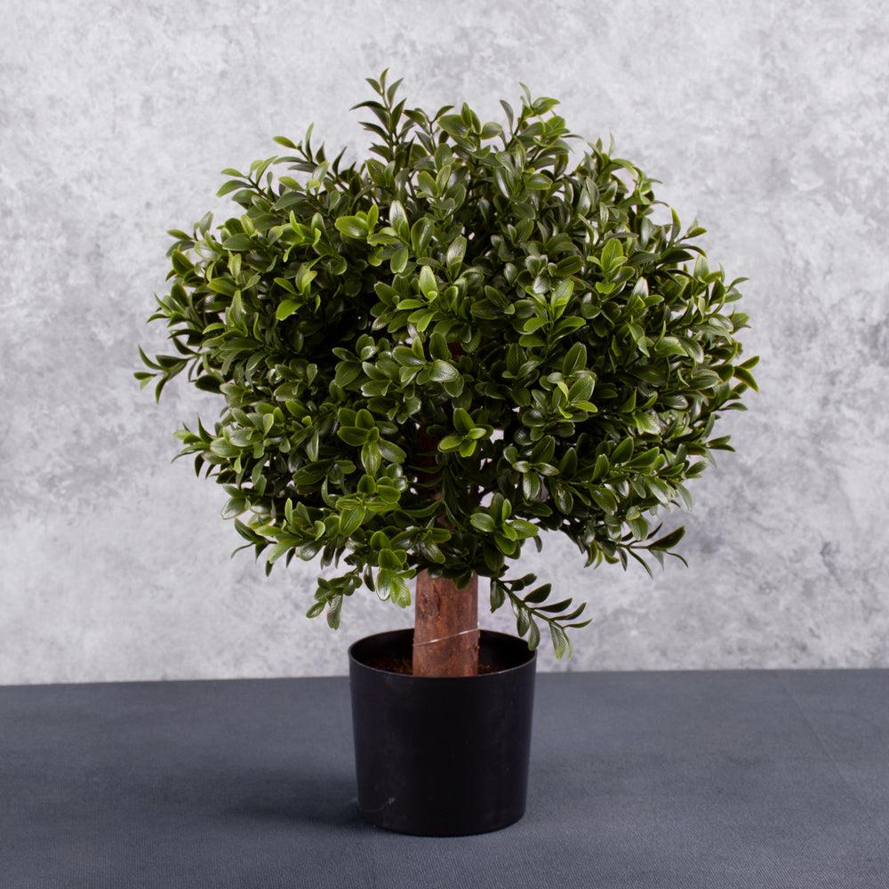 Faux Plants & Pots | Boxwood, Buxus Ball, Artificial, in pot, UV Safe Faux Plants & Pots Faux Plants & Pots