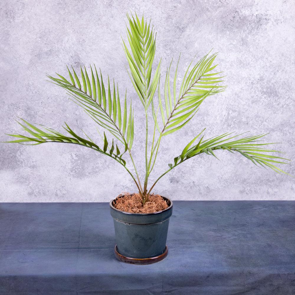 Florals | Areca Palm, Artificial, Real Touch, 76cm Artificial Florals