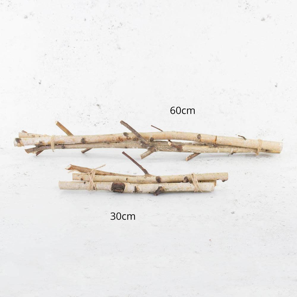 Florals | Birch Bundle, Natural, 3 x 30cm Dried Florals