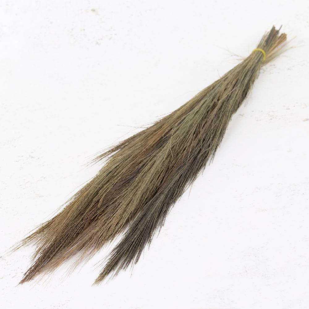 Florals | Broom Grass, Dried, Natural Dried Florals