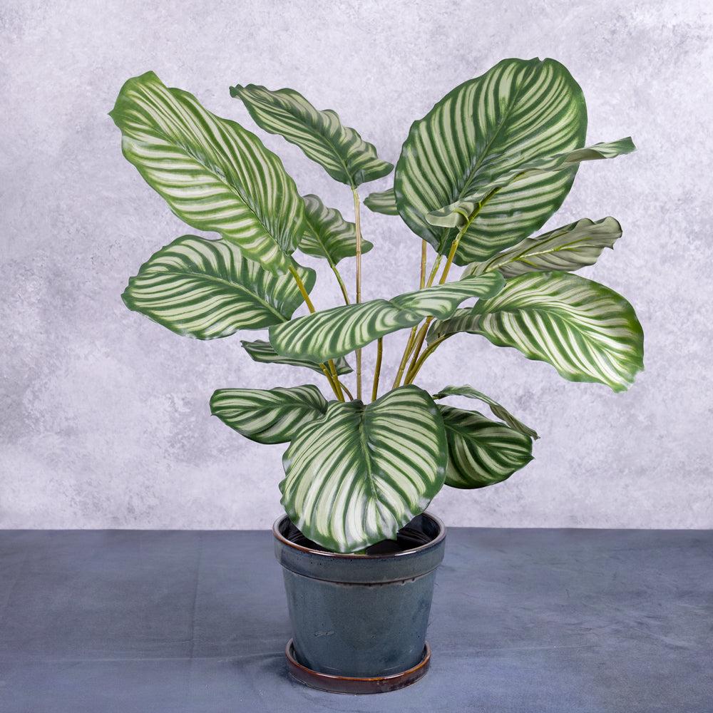 Florals | Calathea orbifolia, Artificial, Natural Touch Leaves 76cm Artificial Florals