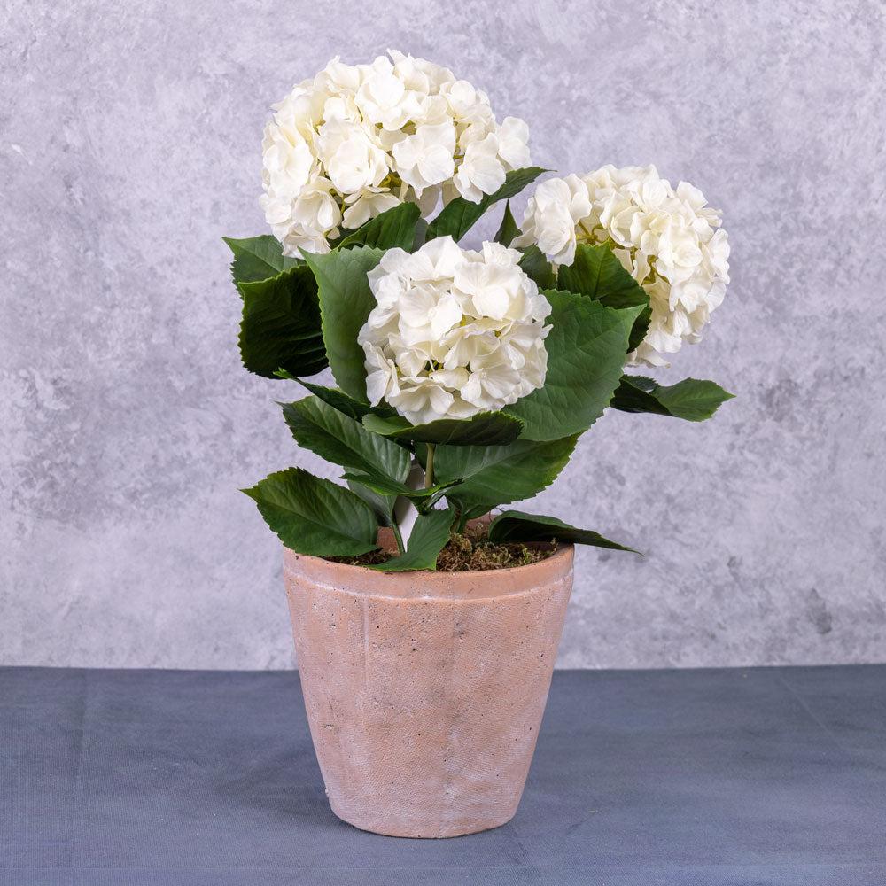 Florals | Hydrangea Plant, Artificial, Cream, 43cm, UV Artificial Florals