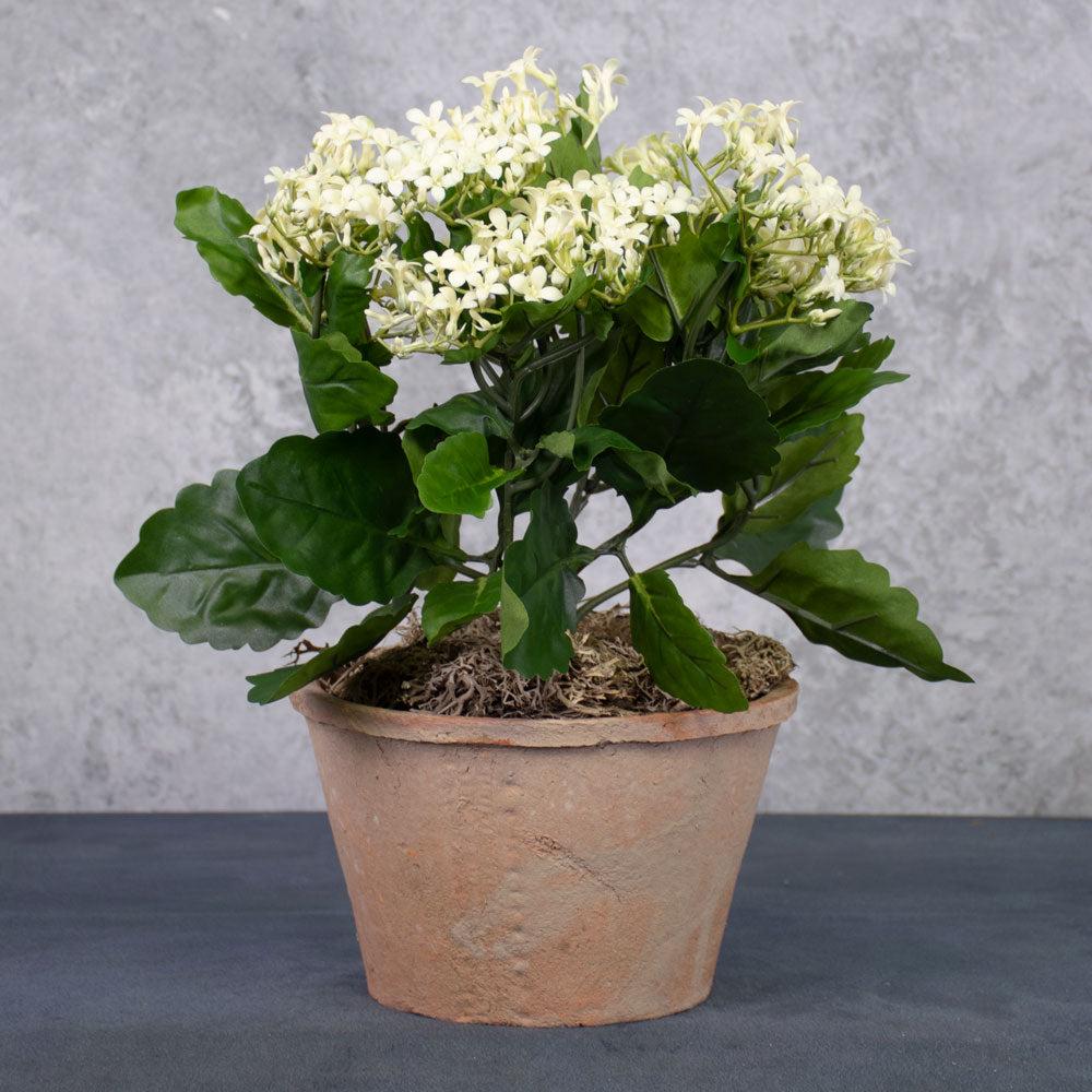 Florals | Kalanchoe Bush, Artificial, 34cm Artificial Florals