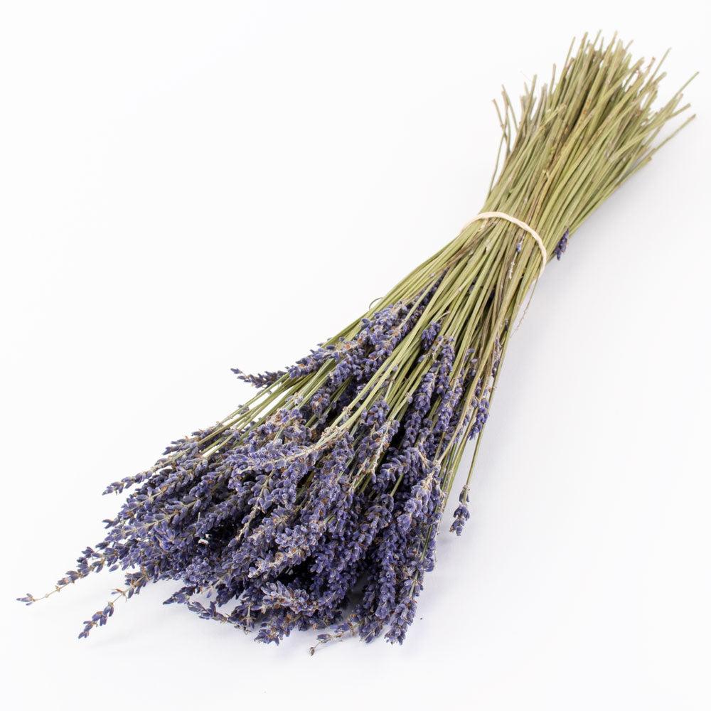 Florals | Lavender, Dried, Natural Blue, 100g Dried Florals