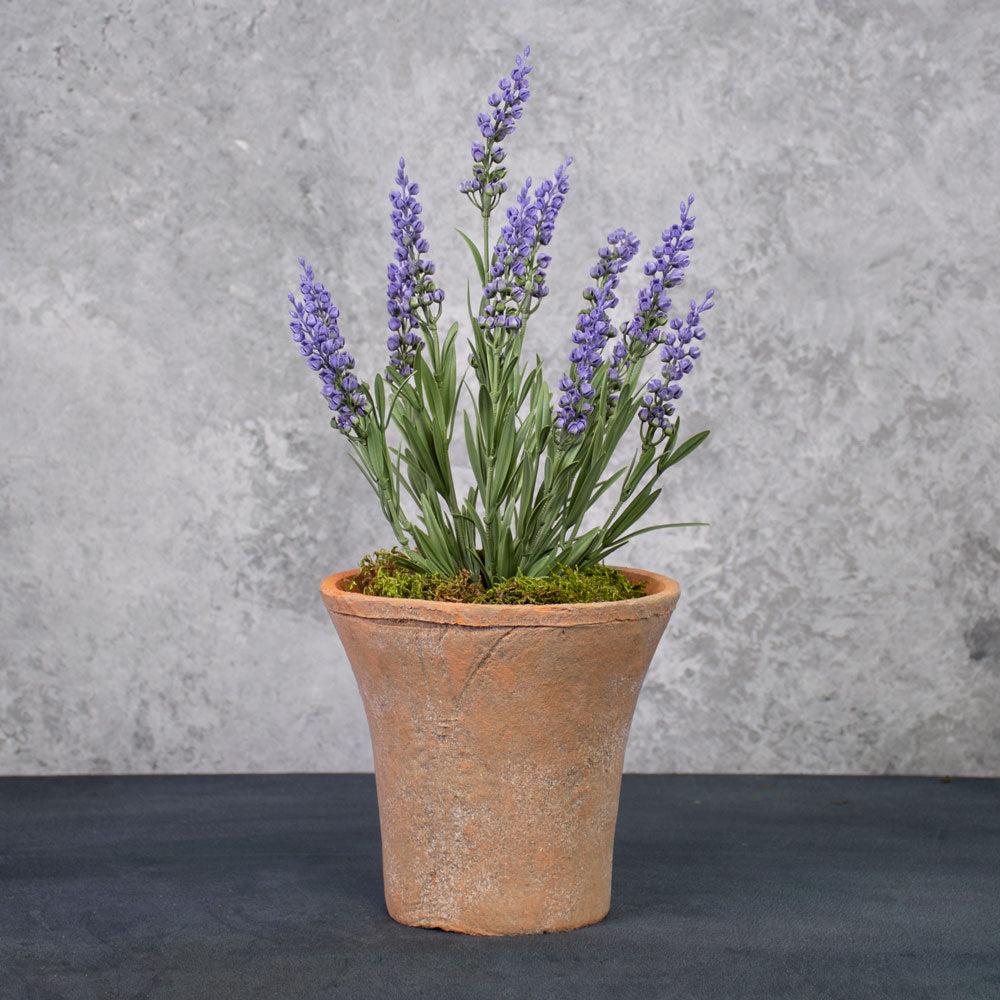 Florals | Lavender Plant, Artificial, 35cm, UV, FR Artificial Florals