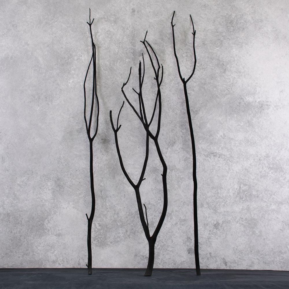 Florals | Mitsumata Twigs, Dried, Flocked Black, 115cm, x 3 Stems Dried Florals