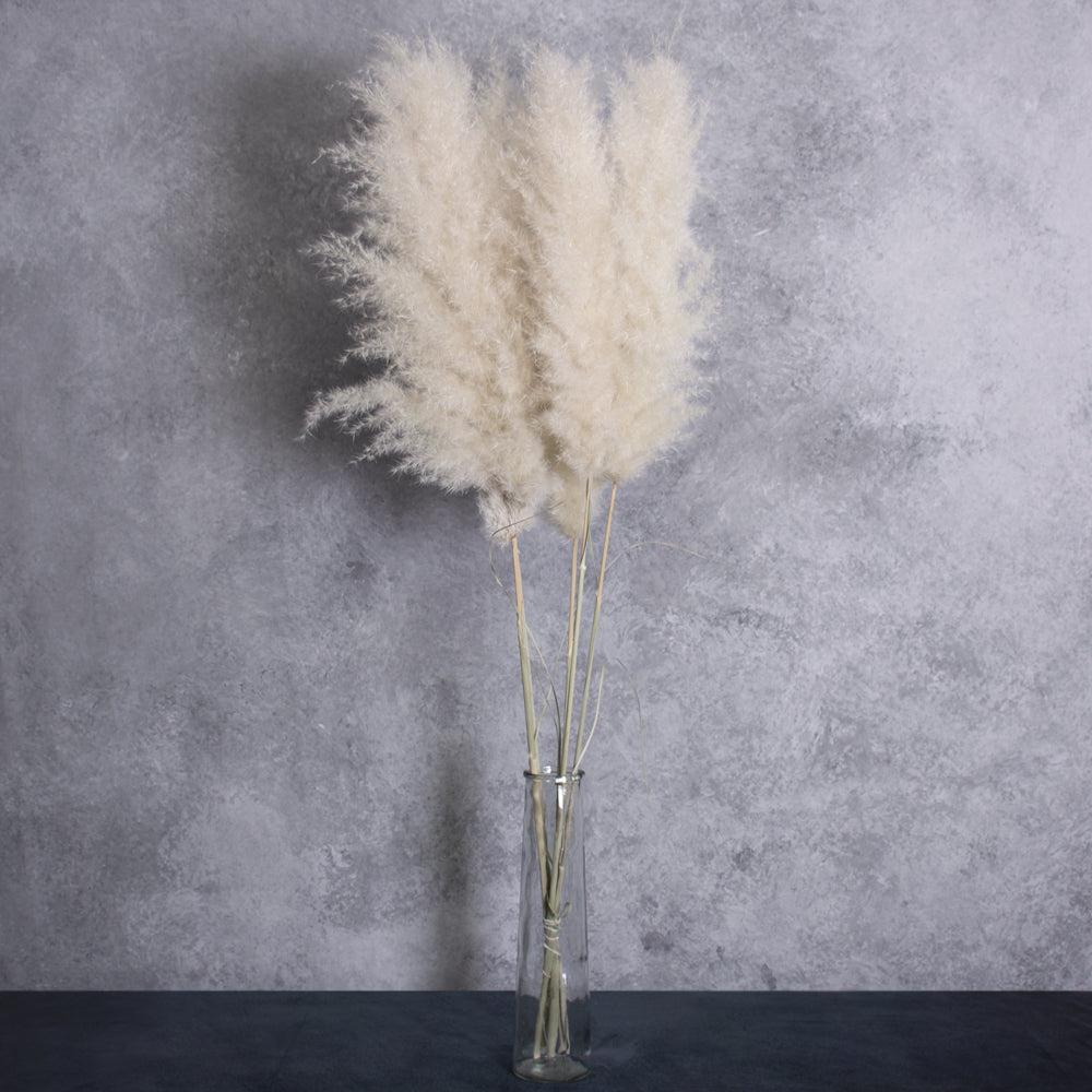 Florals | Pampas Grass Fluffy, Extra, Dried, Natural White x 5 Dried Florals