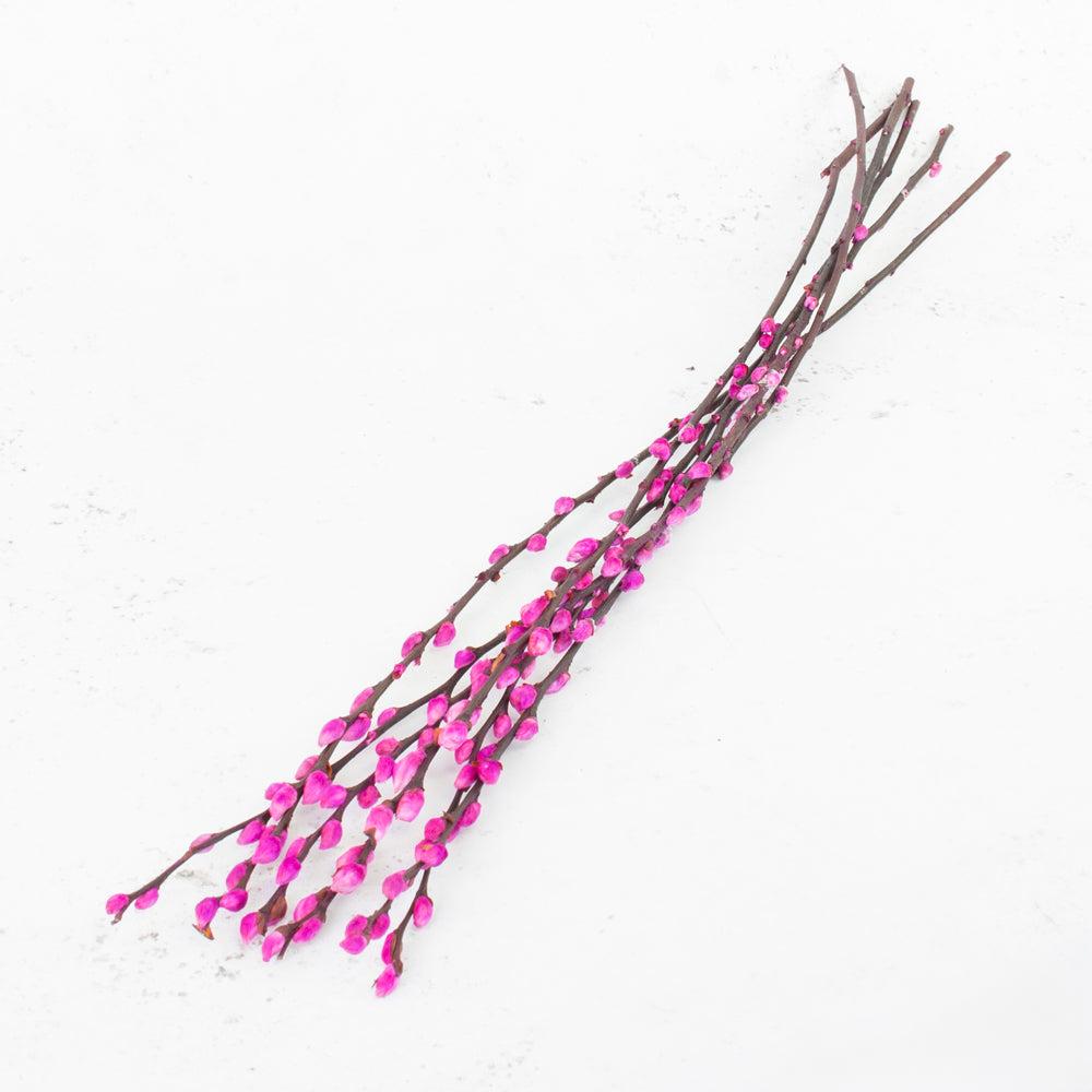 Florals | Salix, Pussy Willow, Dried, Dark Pink, 80cm Dried Florals