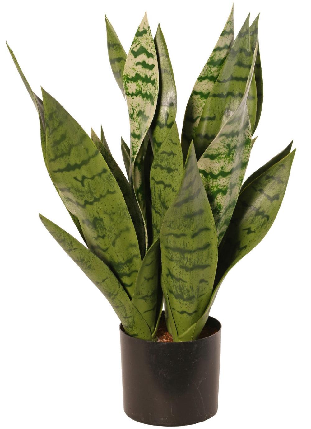 Florals | Sanseveria, (Mother In Laws Tongue), Artificial, in pot, 45cm Artificial Florals